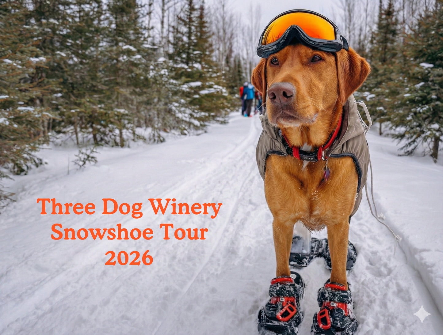 Snowshoe Tour and Wine Tasting 2026